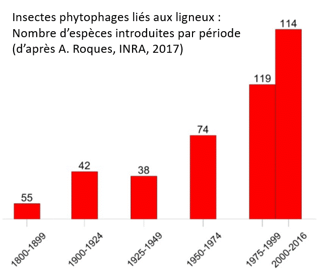 Cadence d'introduction des espèces d'insectes