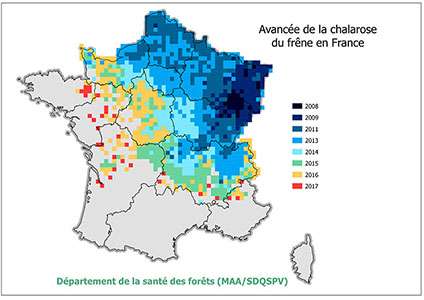 Carte d'avancée de la chalarose en 2017