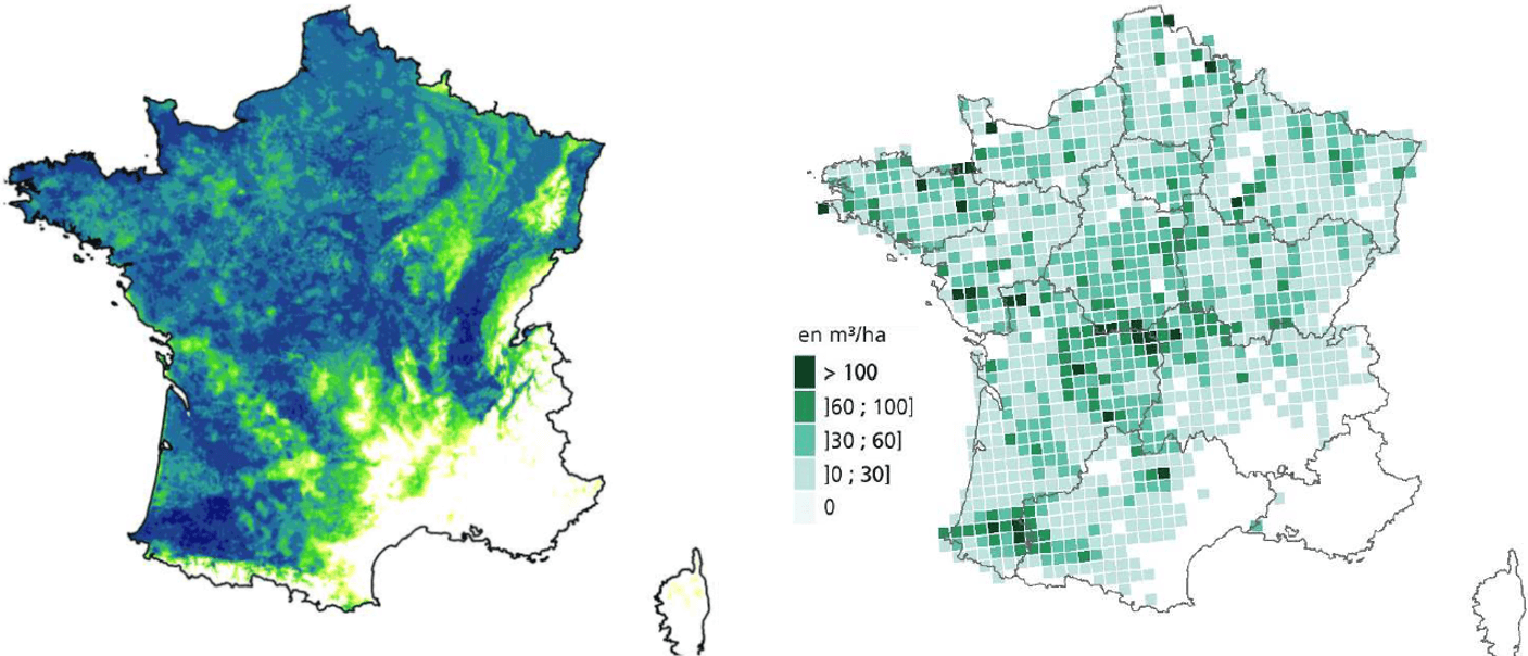 La FPC outil pour anticiper le changement climatique en forêt