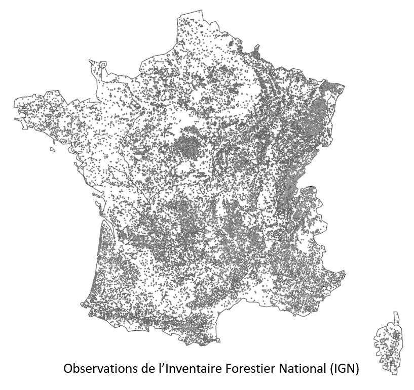 Carte des placettes de l'inventaire forestier national