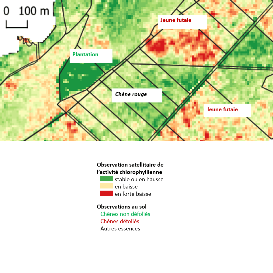 Carte de défoliation, vue satellitaire