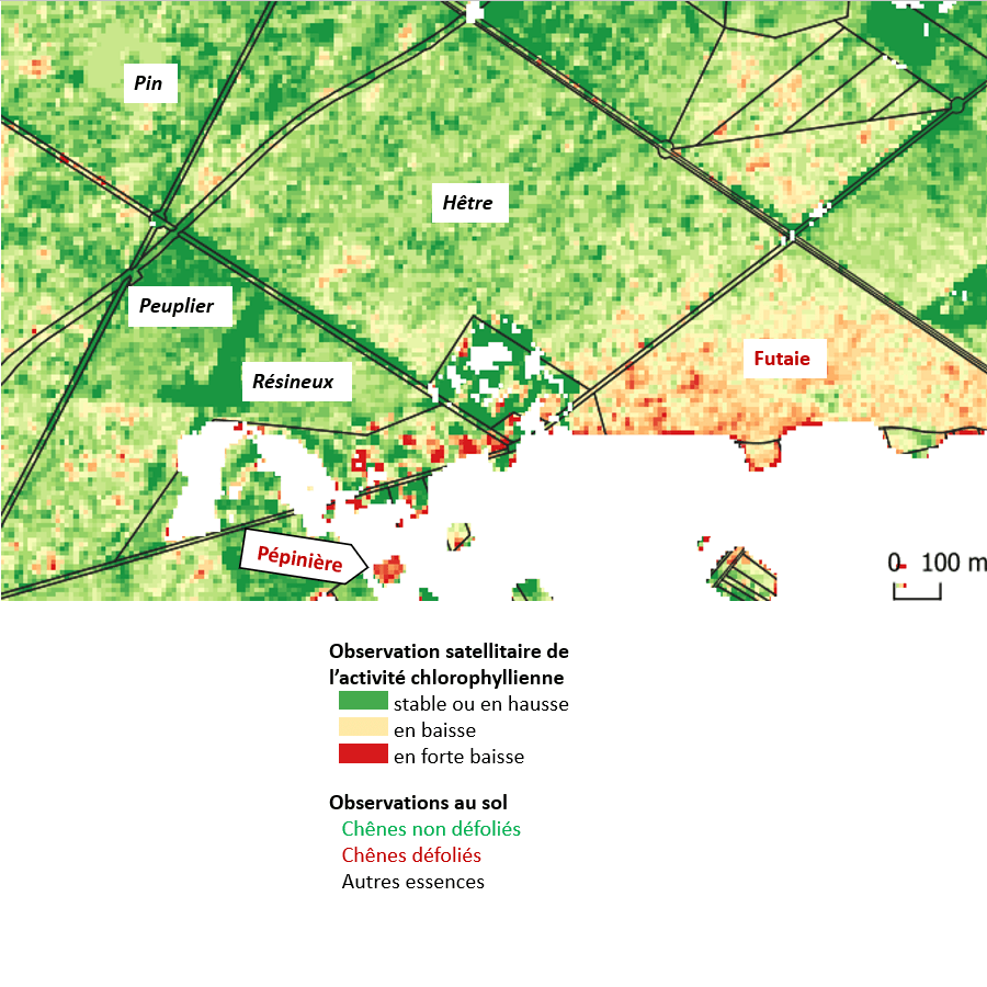 Carte de défoliation, vue satellitaire