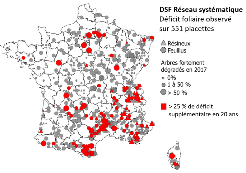 Déficit foliaire DSF 2017 : changement climatique