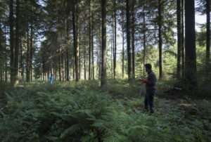 Equipe inventaire de gestion en forêt