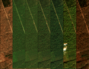 Observation satellitaire forêt de Chaux 2018
