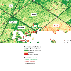 Carte de défoliation, vue satellitaire