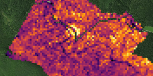 Carte dendrométrie lidar