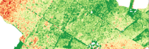 Carte de défoliation - FORESTYS