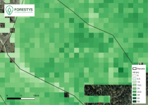 Carte de hauteur dominante dérivée d'une couverture lidar. FORESTYS