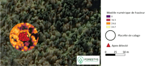 Lidar forestier : placette de calage et modèle numérique de hauteur