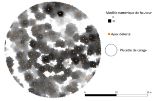 Placette de calage lidar : MNH, apex.