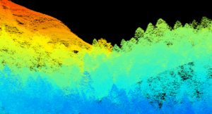 Nuage de points lidar en forêt