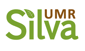 Logo UMR SILVA