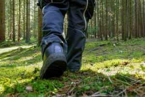 Rien ne remplace l'observation sur le terrain