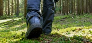 Rien ne remplace l'observation sur le terrain