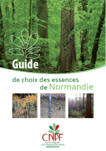 Guide de choix des essences en Normandie